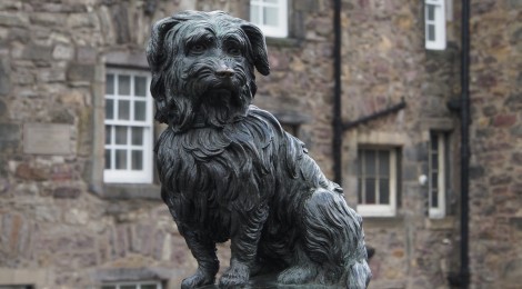 El perro más famoso de Escocia